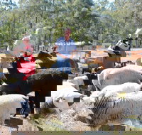 Haigslea EWE Nique Hobby Farm - Tourism Adelaide