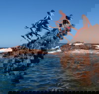 Hillocks Drive - Tourism Adelaide