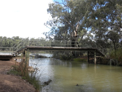 Junction Island Nature Reserve, Canoe Tree And Walking Track - Tourism Adelaide 0