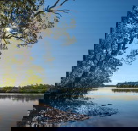 Karuah River National Park and Nature Reserve - Tourism Adelaide