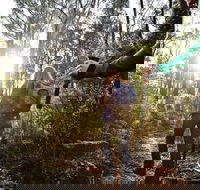 Kinglake National Park - Tourism Adelaide