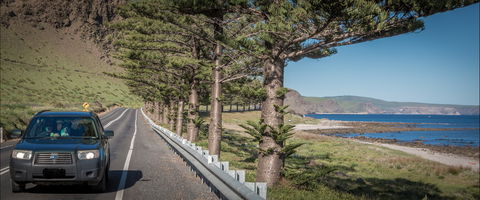 Lady Bay Beach - Tourism Adelaide 0
