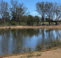 Lake King Wetlands at Rutherglen - Tourism Adelaide