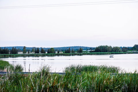 Lake Wyangan - Tourism Adelaide 2
