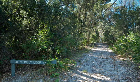 Lillypilly Loop Trail - Tourism Adelaide 0