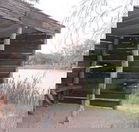 Martin Bend Wetland and Walking Trail - Tourism Adelaide