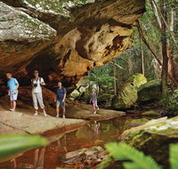 Monto - Tourism Adelaide