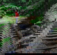 Montezuma Falls - Tourism Adelaide