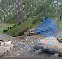 Northbrook Mountain Bush Camp - Tourism Adelaide