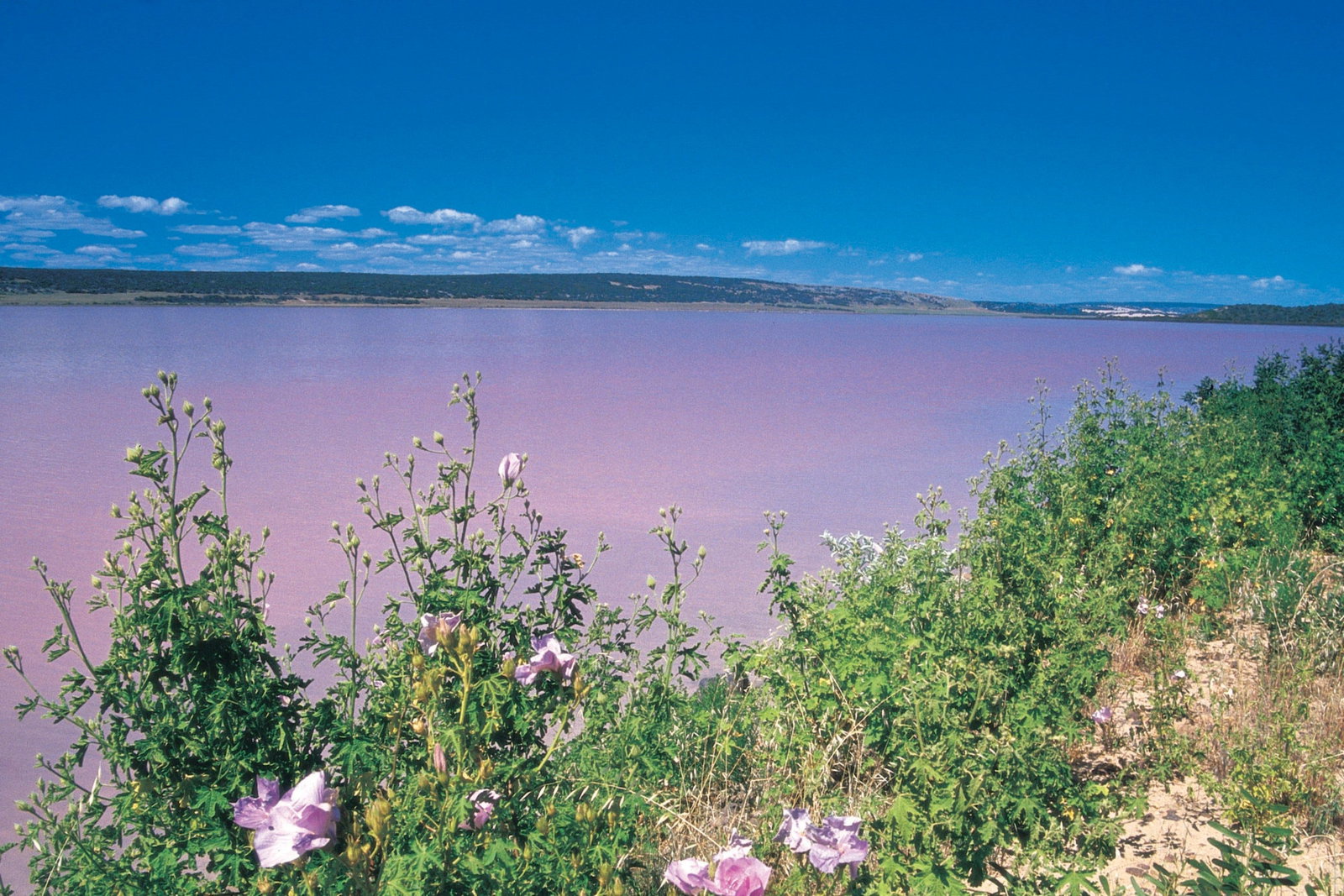 Gregory WA Tourism Adelaide