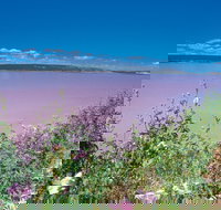 Port Gregory - Tourism Adelaide