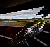 Reed Beds Bird Hide Boardwalk - Tourism Adelaide