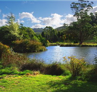 Tasmanian Arboretum Inc. - The - Tourism Adelaide