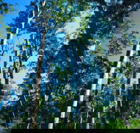 The Four Aces - Tourism Adelaide