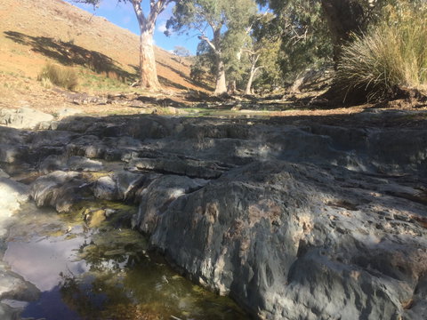 Three Creeks Station -Arkaroona Creek Walk - Tourism Adelaide 0