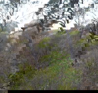 Tolmer Rocks - Mount Boothby Conservation Park - Tourism Adelaide