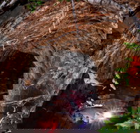 Undara Experience - Tourism Adelaide