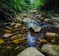 Willi Willi National Park - Tourism Adelaide