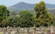 Yackandandah Cemetery - thumb 0