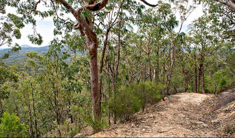 Yango Walking Track - Tourism Adelaide 0
