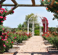 Australian Inland Botanic Gardens - Tourism Adelaide