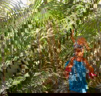 Canungra - Tourism Adelaide