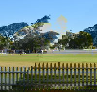 Cootamundra Cricketing Exploration - Tourism Adelaide