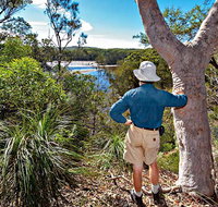 Corkwood and Scribbly Gum Walking Track - Tourism Adelaide