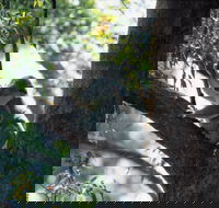 Daisy Hill - Tourism Adelaide