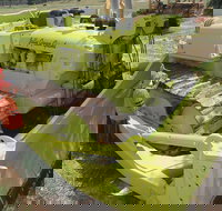 Dardanup Heritage Park - Tourism Adelaide