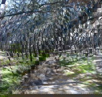 Federation Walk - Tourism Adelaide