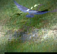 Germein Reserve - Tourism Adelaide