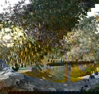 Goomburra - Tourism Adelaide