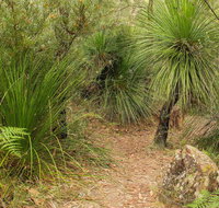 Grass Tree Circuit - Tourism Adelaide