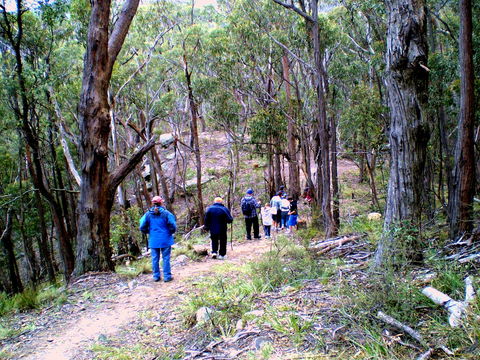 Greater Blue Mountains Heritage Trail - Tourism Adelaide 2
