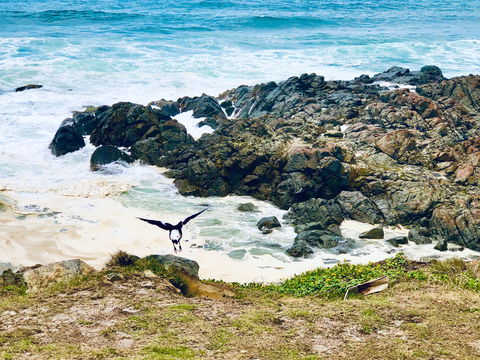 Hastings Point Beach - Tourism Adelaide 2