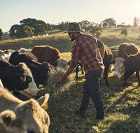 Hinterland Full Day Self Drive Tour - Tourism Adelaide
