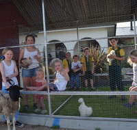 Kent Saddlery Australia - Tourism Adelaide