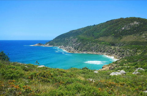 Little Bay Beach - Tourism Adelaide 0