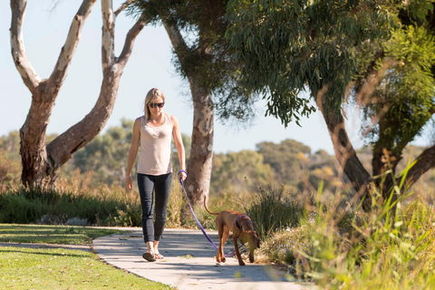 Meningie Walking And Cycling Trails - Tourism Adelaide 0