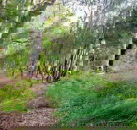 Meroo Lake walking track - Tourism Adelaide