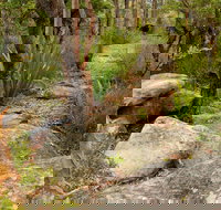 Mount Olive Trail - Tourism Adelaide