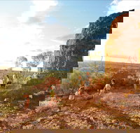 Natural Sciences Loop - Tourism Adelaide