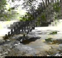 Nellies Glen Carrington Falls - Tourism Adelaide