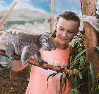 Oakvale Wildlife Park - Tourism Adelaide
