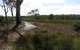 Penola Conservation Park - thumb 0
