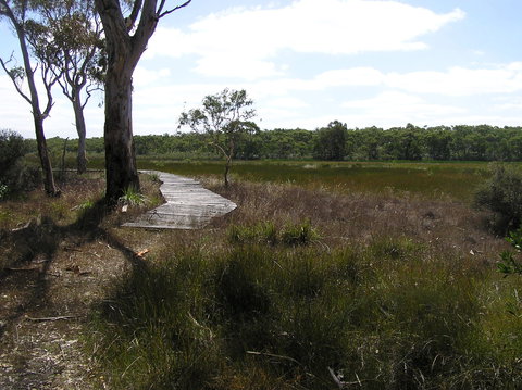 Penola Conservation Park - Tourism Adelaide 0