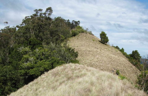 Pieries Peak Walking Track - Tourism Adelaide 0