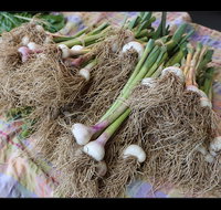 Queanbeyan Park Market - Tourism Adelaide