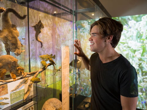Queensland Museum - Tourism Adelaide 0